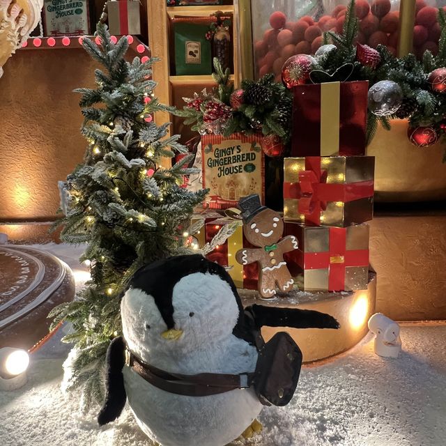 聖誕婆婆與姜餅人陪你過聖誕🧑‍🎄🎄