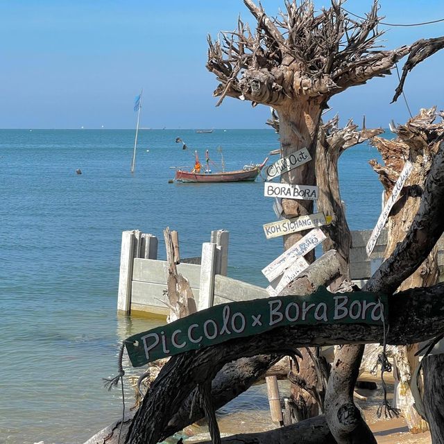 คาเฟ่บางแสน