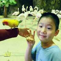 六福村的動物其實也很有看頭！