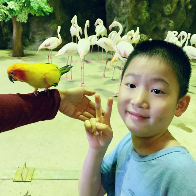 六福村的動物其實也很有看頭！