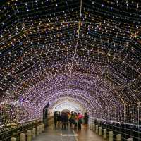 นครพนม กับงานแสงสีวันนั้น