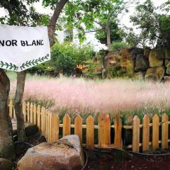 Manor Blanc User Photo