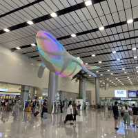 제주여행의 시작, 제주국제공항