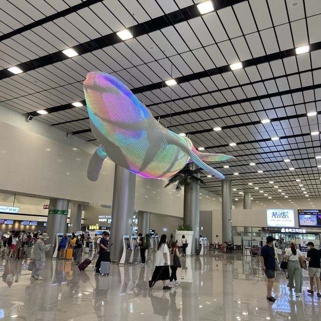 제주여행의 시작, 제주국제공항