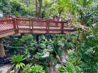 Edward Youde Aviary. 