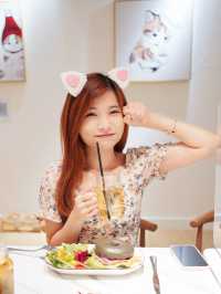 🐱🐱Catio貓cafe！Caca去搵喵喵~🐱🐱