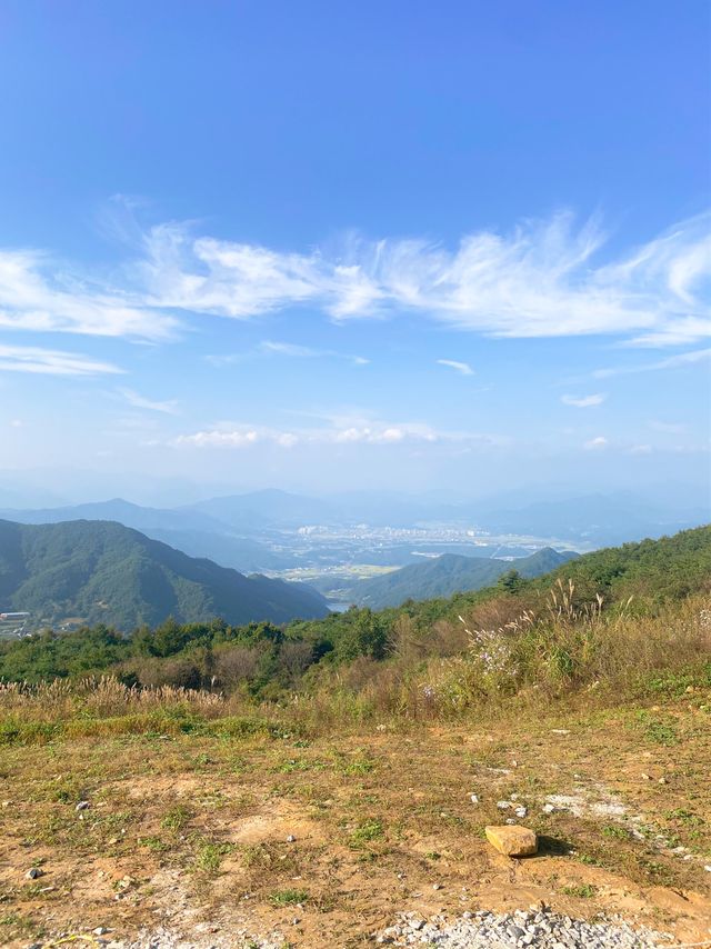 [경남] 거창 감악산에서 만난 아스타국화 💜