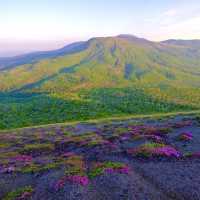 5月の高千穂峰