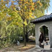 한껏 가을을 만끽할 수 있는 수원 월화원!🍂
