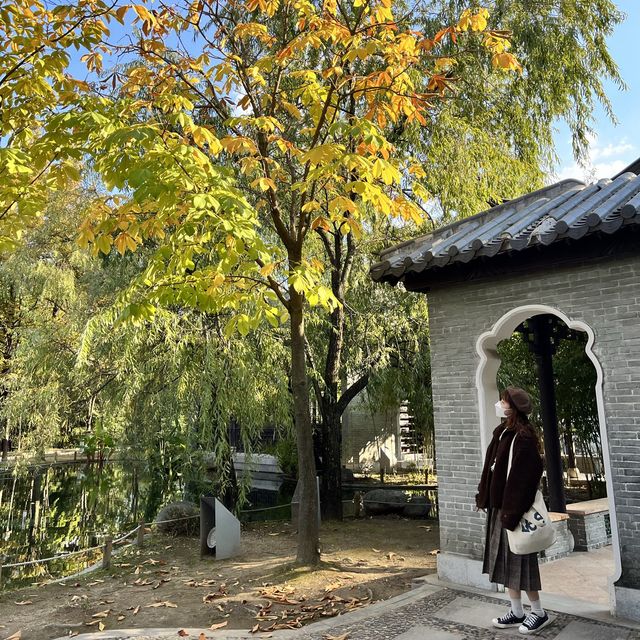 한껏 가을을 만끽할 수 있는 수원 월화원!🍂