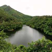 鶴藪水塘