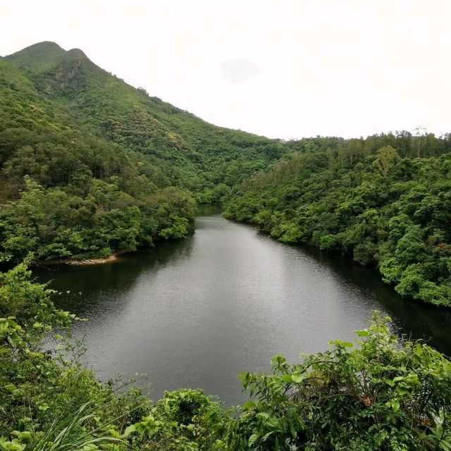 鶴藪水塘
