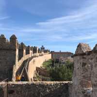 The Medieval City Walls of Avila 