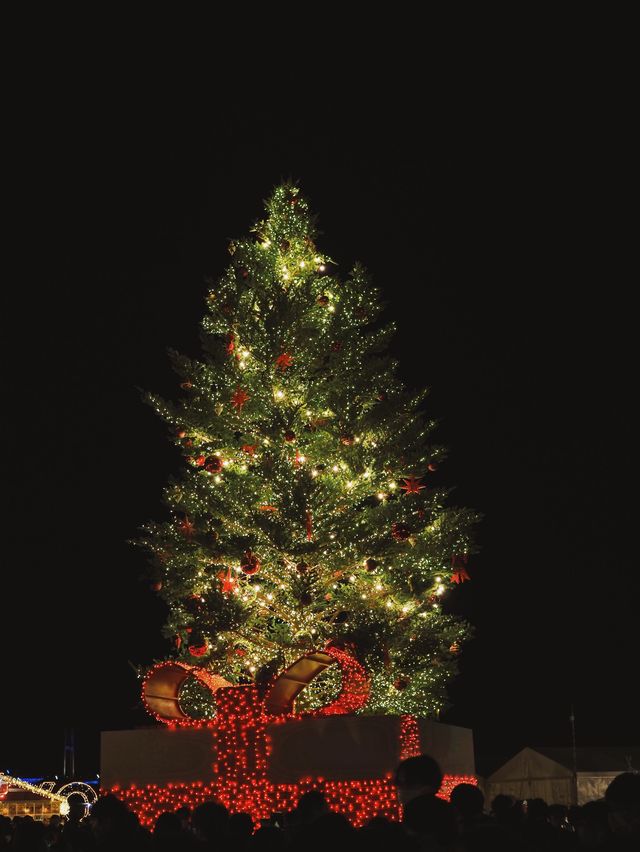 Christmas Market in 横浜赤レンガ倉庫