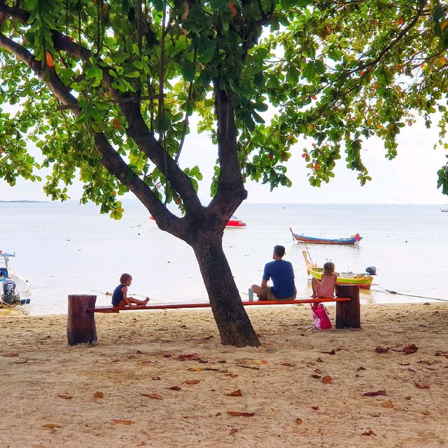 ชมหาดสวย ที่เต็มไปด้วยเรือมากมาย
