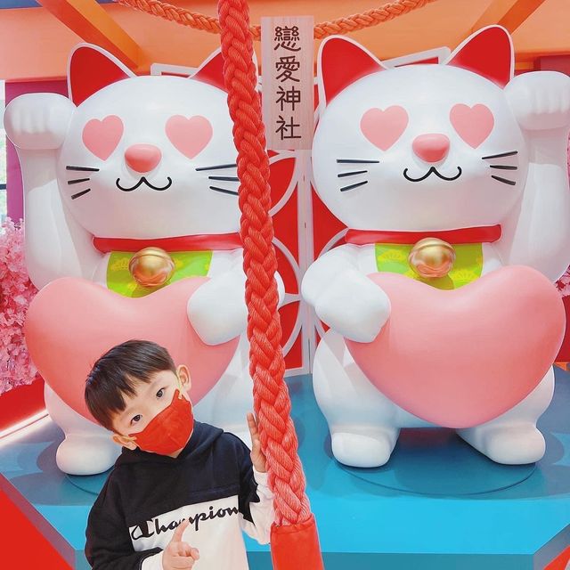 招財貓貓駕到