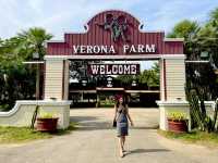 รับบทเด็กเลี้ยงแกะ  : The Verona Farm