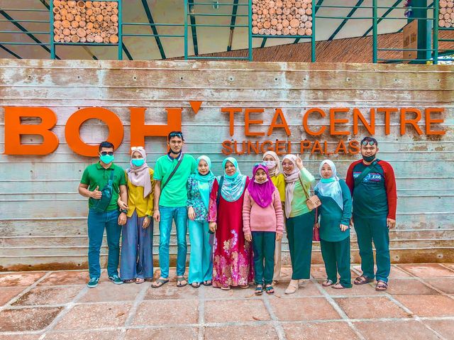 BOH TEA CENTRE, CAMERON HIGHLANDS !! 🍃