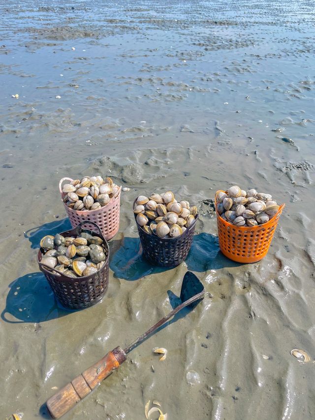 날씨 좋은날 하는 야외체험🐚