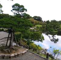 綠悠悠的公園🌳🌳🌳