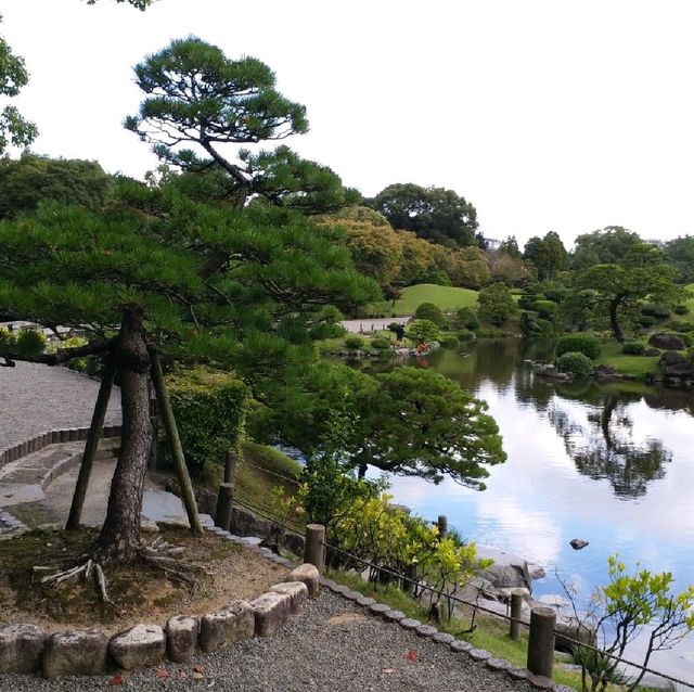 綠悠悠的公園🌳🌳🌳