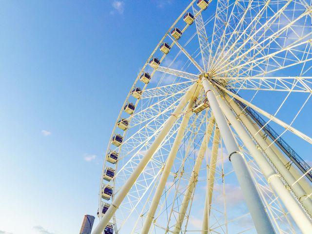 호주 브리즈번 시청부터 사우스뱅크의 관람차까지🎡