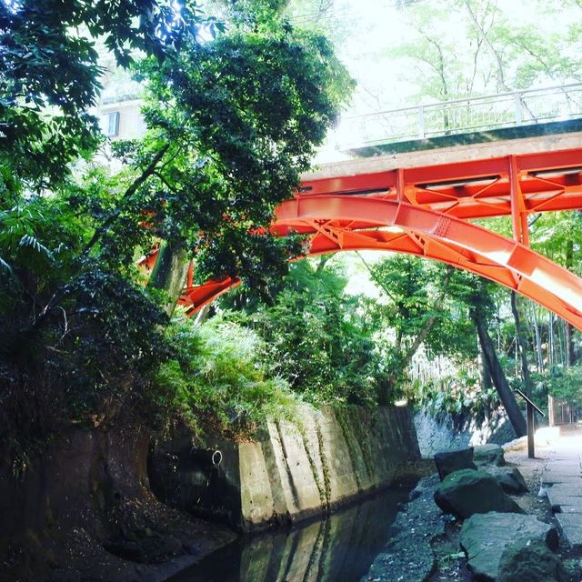 東京の等々力渓谷