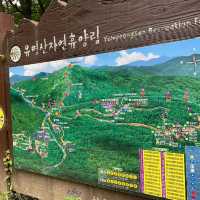 가평 국립 유명산 휴양림 계곡과 시원한 바람