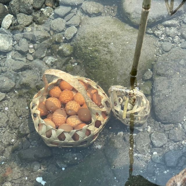 ลวกไข่แจ้ซ้อน ลำปาง🥚🌳