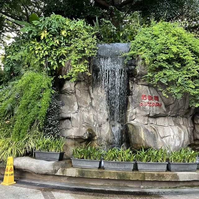 「鳥語花香」九龍公園🌳🦋🐥