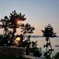 선재도 플로레도커피에서 오션뷰 감상하기🏝