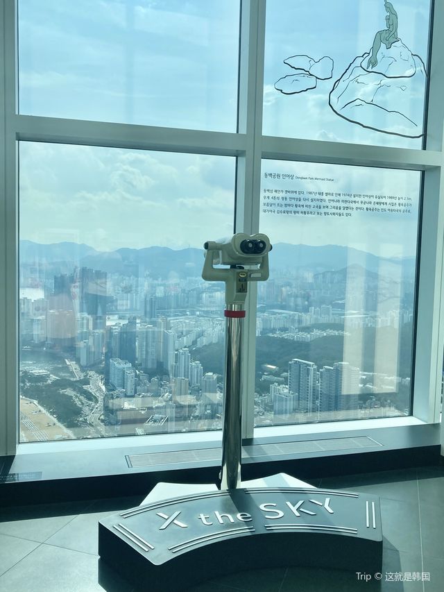 여름 국내여행 핫플