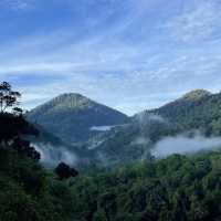 Short Nature gateway