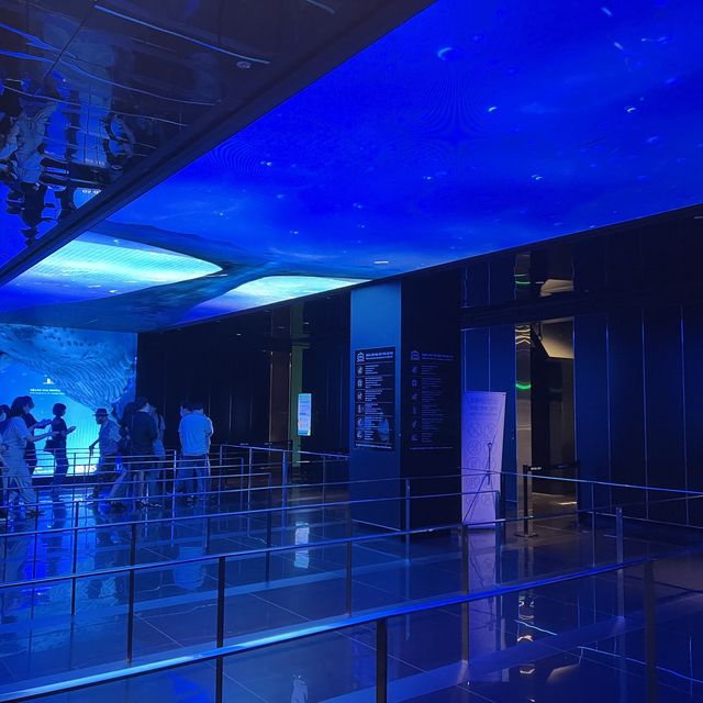 【韓国/ソウル】夜景がと夕陽が綺麗なロッテワールドタワー(ソウルスカイ)
