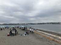【横須賀】美しい無人島　\ 猿島/