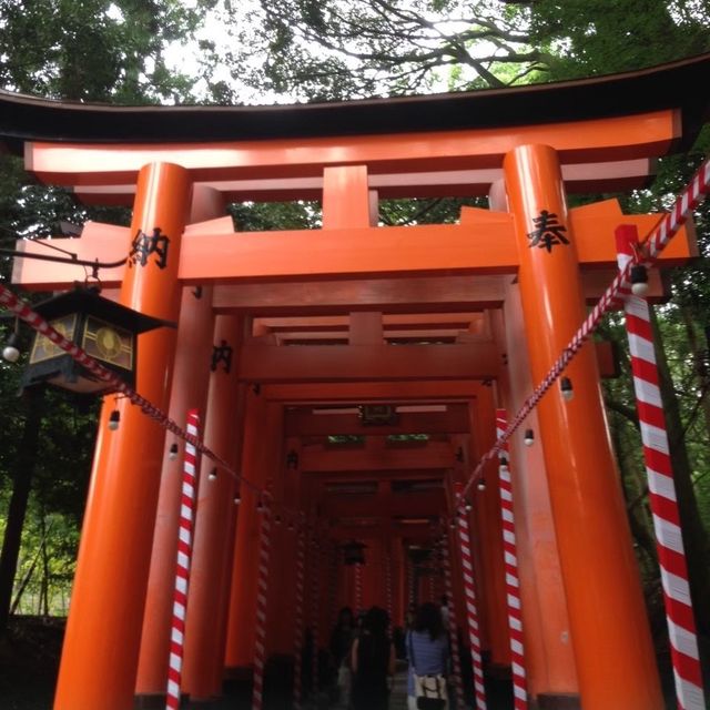 京都-伏見稻荷
