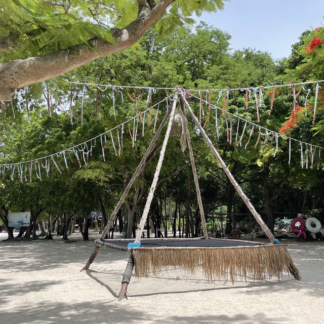 芭堤雅熱門小島❤️‍🔥旅遊勝地💯必參加一日遊
