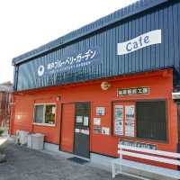 兵庫県！神戸ブルーベリーガーデンのかき氷