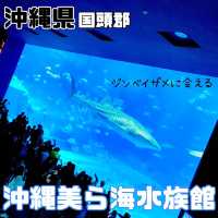 美ら海水族館【沖縄県/国頭郡】
