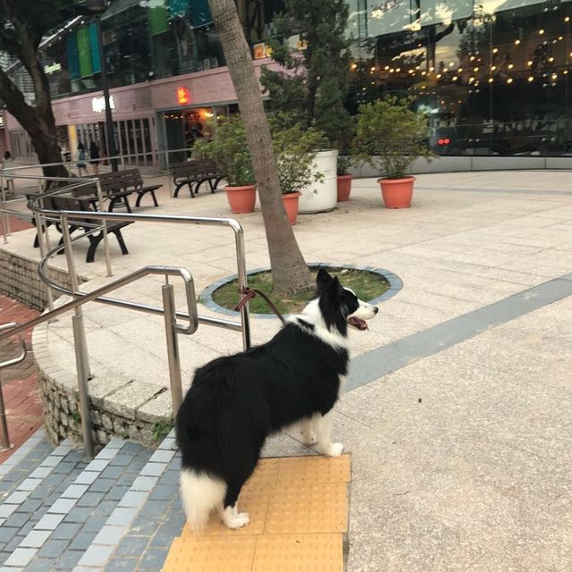 동양과 서양의 느낌이 공존하는 매력의 도시 “홍콩” 동양과 서양의 느낌이 공존하는 매력의 도시 “홍콩”