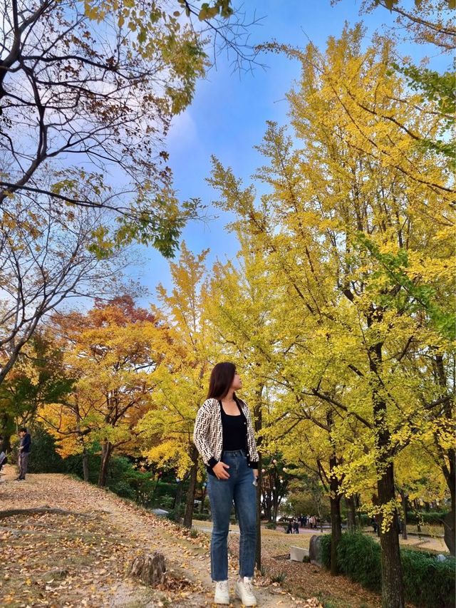 국내 단풍여행지 추천