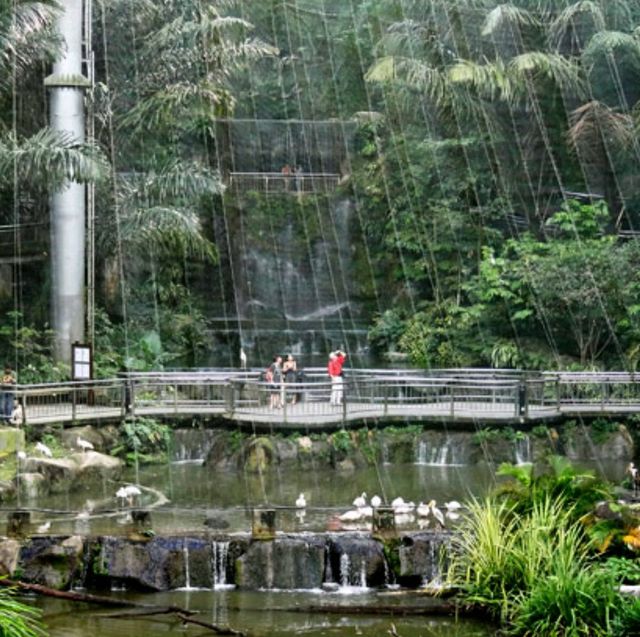 # Kl Bird Park