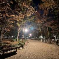 서울 도산공원