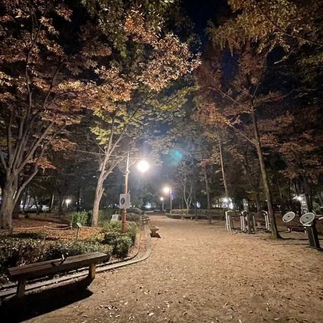 서울 도산공원