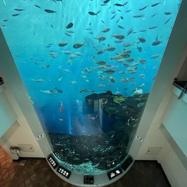 【北海道】登別マリンパークニクス