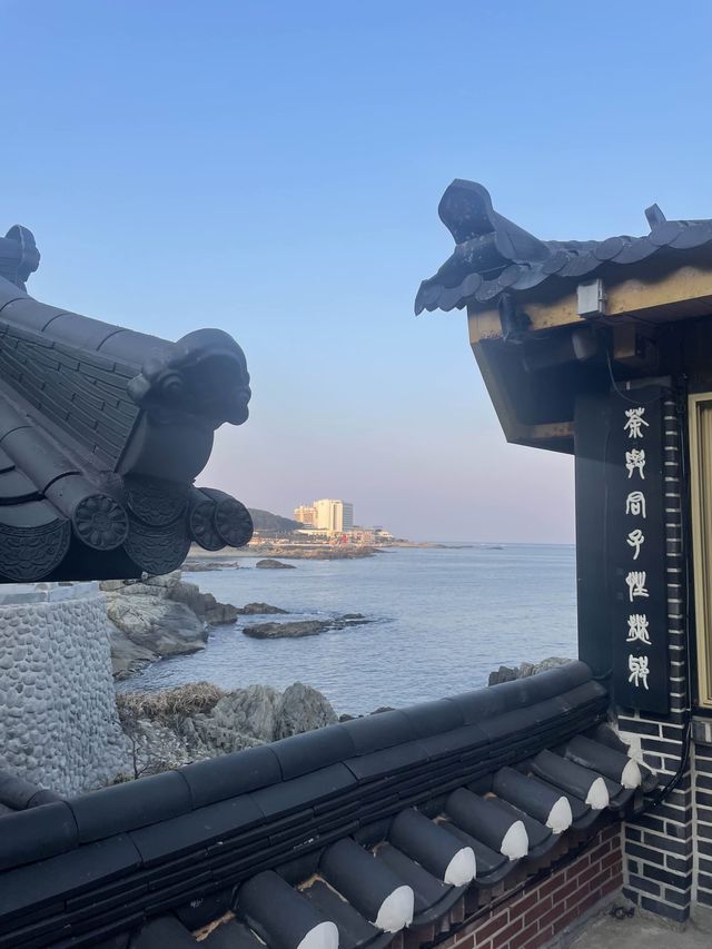 BUSAN✨