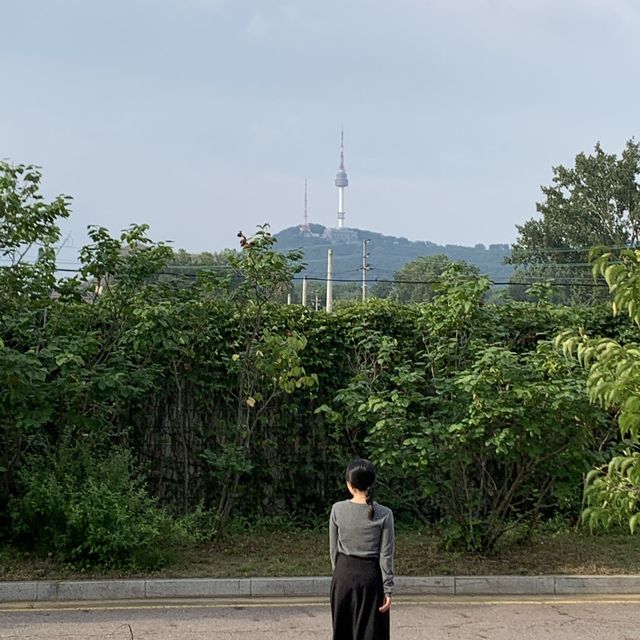 서울타워가 잘 보이는 곳 국립중앙 박물관 