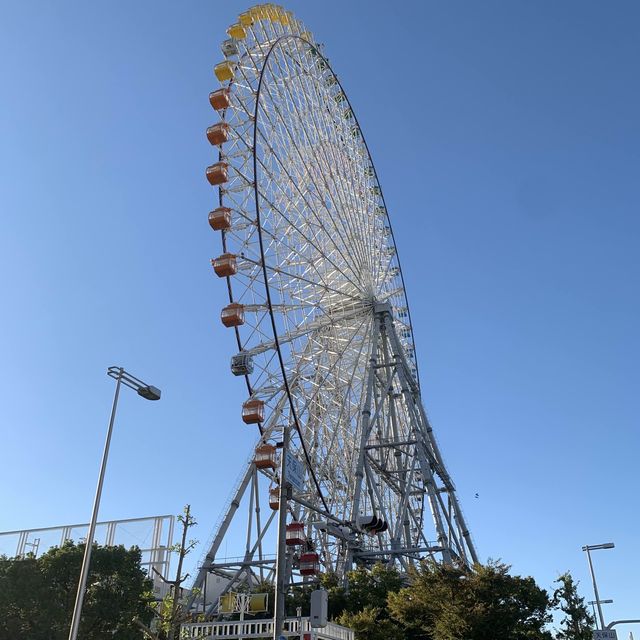 ［大阪］海游館打卡行程攻略🦈