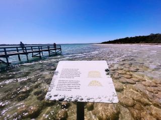 Lake Clifton Thrombolites, Mandurah, WA🤩