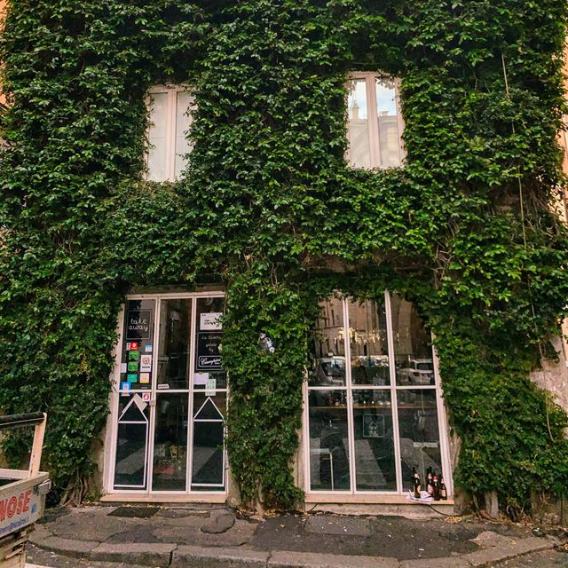Monti & The Green in Rome Italy 🇮🇹 